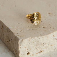 18k Gold Plated All In Ring gold