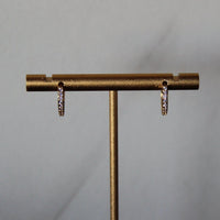 Celia Crystal Huggie Hoops
