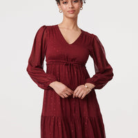 Sparkly Semi Sheer Long Sleeve Midi Dress