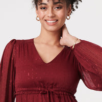 Sparkly Semi Sheer Long Sleeve Midi Dress